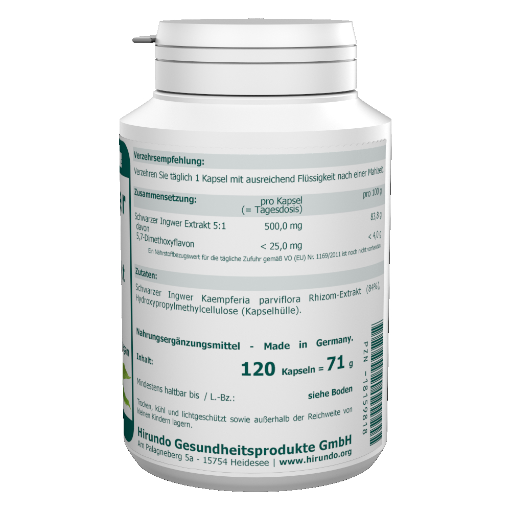 Schwarzer Ingwer Extrakt 500 mg Kapseln 120 Stk. – Bild 3
